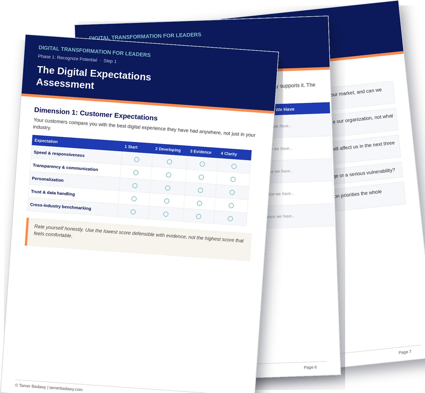 Digital Expectations Assessment leadership tool by Tamer Badawy, showing the customer expectations rating table, gap identifier, and leadership readiness questions