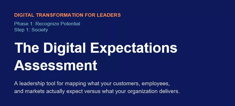 Digital Expectations Assessment - Leadership Tool by Tamer Badawy